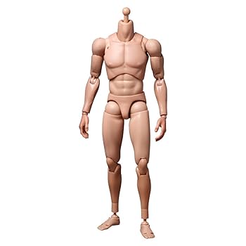 ホットトイズ・トゥルータイプ　素体　白人男性　ナロー・ショルダー版V2 ホットトイズ・トゥルータイプ】1／6スケールフィギュア素体